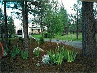 Residential Landscapes