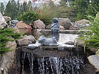 Water Features