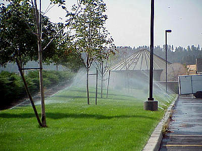 Sprinklers & Irrigation