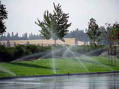 Sprinklers & Irrigation